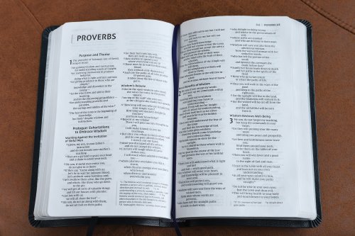 NIV, Thinline Bible, Bonded Leather, Navy, Red Letter Edition, Ribbon Marker