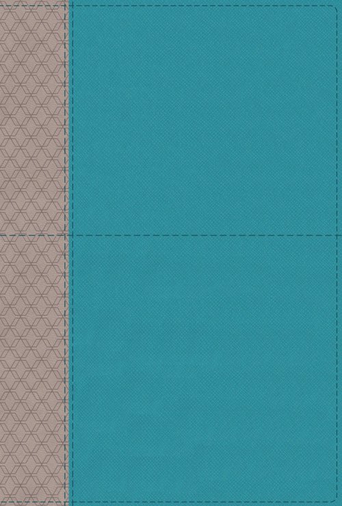 NIV Study Bible, Fully Revised Edition (Study Deeply. Believe Wholeheartedly.), Leathersoft, Teal/Gray, Red Letter, Comfort Print