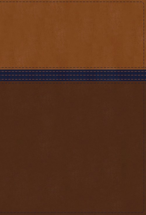 NIV Study Bible, Fully Revised Edition (Study Deeply. Believe Wholeheartedly.), Personal Size, Leathersoft, Brown/Blue, Red Letter, Comfort Print