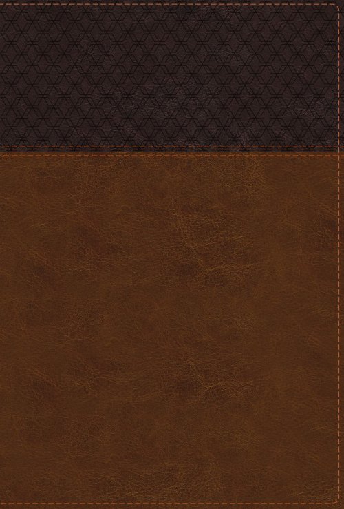NIV Study Bible, Fully Revised Edition (Study Deeply. Believe Wholeheartedly.), Large Print, Leathersoft, Brown, Red Letter, Comfort Print