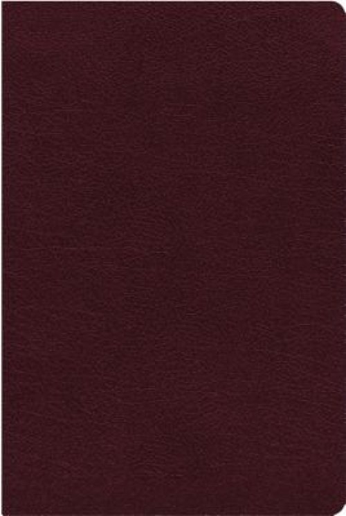 NIV, Thinline Reference Bible (Deep Study at a Portable Size), Bonded Leather, Burgundy, Red Letter, Thumb Indexed, Comfort Print