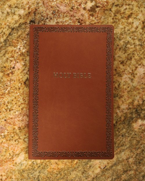 NIV, Holy Bible, Soft Touch Edition, Leathersoft, Brown, Comfort Print