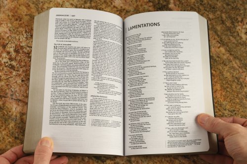 NIV, Holy Bible, Soft Touch Edition, Leathersoft, Brown, Comfort Print