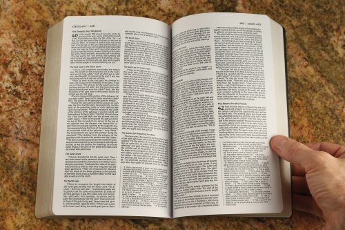 NIV, Holy Bible, Soft Touch Edition, Leathersoft, Brown, Comfort Print
