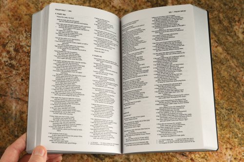 NIV, Holy Bible, Soft Touch Edition, Leathersoft, Black,