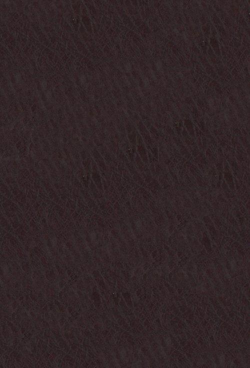 NIV, Life Application Study Bible, Third Edition, Large Print, Bonded Leather, Burgundy, Red Letter, Thumb Indexed