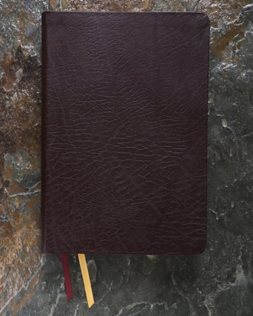 NIV, Life Application Study Bible, Third Edition, Large Print, Bonded Leather, Burgundy, Red Letter, Thumb Indexed