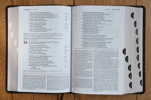 NIV, Life Application Study Bible, Third Edition, Large Print, Bonded Leather, Burgundy, Red Letter, Thumb Indexed