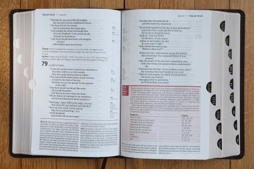 NIV, Life Application Study Bible, Third Edition, Large Print, Bonded Leather, Burgundy, Red Letter, Thumb Indexed