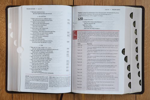 NIV, Life Application Study Bible, Third Edition, Large Print, Bonded Leather, Burgundy, Red Letter, Thumb Indexed