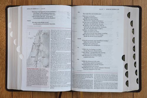 NIV, Life Application Study Bible, Third Edition, Large Print, Bonded Leather, Burgundy, Red Letter, Thumb Indexed