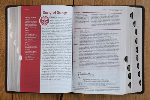 NIV, Life Application Study Bible, Third Edition, Large Print, Bonded Leather, Burgundy, Red Letter, Thumb Indexed