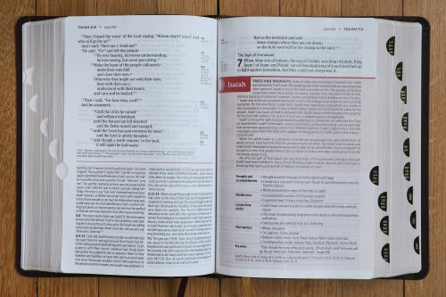 NIV, Life Application Study Bible, Third Edition, Large Print, Bonded Leather, Burgundy, Red Letter, Thumb Indexed