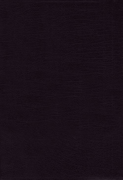 NIV, Life Application Study Bible, Third Edition, Large Print, Bonded Leather, Black, Red Letter