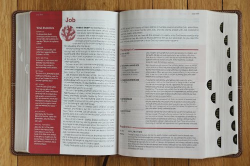 NIV, Life Application Study Bible, Third Edition, Large Print, Leathersoft, Brown, Red Letter, Thumb Indexed