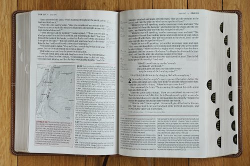 NIV, Life Application Study Bible, Third Edition, Large Print, Leathersoft, Brown, Red Letter, Thumb Indexed