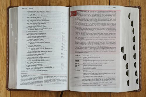 NIV, Life Application Study Bible, Third Edition, Large Print, Leathersoft, Brown, Red Letter, Thumb Indexed