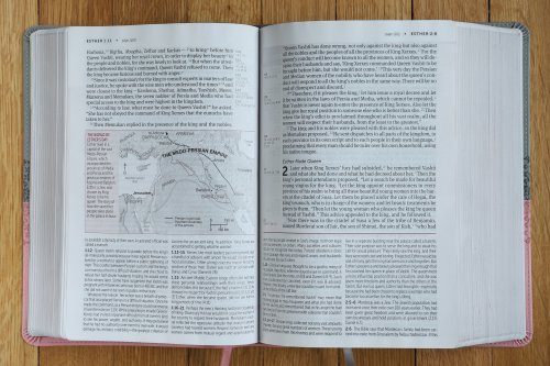 NIV, Life Application Study Bible, Third Edition, Large Print, Leathersoft, Gray/Pink, Red Letter