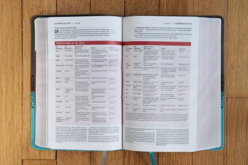 NIV, Life Application Study Bible, Third Edition, Personal Size, Leathersoft, Gray/Teal, Red Letter