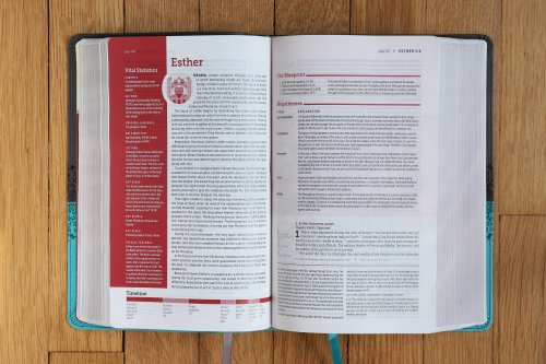 NIV, Life Application Study Bible, Third Edition, Personal Size, Leathersoft, Gray/Teal, Red Letter