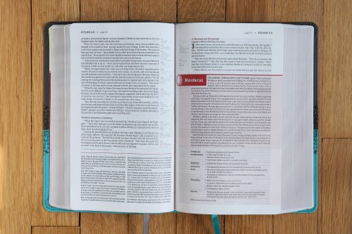 NIV, Life Application Study Bible, Third Edition, Personal Size, Leathersoft, Gray/Teal, Red Letter