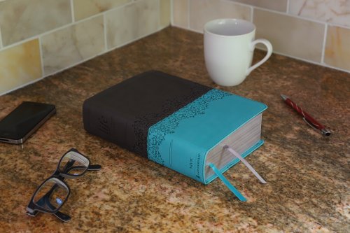 NIV, Life Application Study Bible, Third Edition, Personal Size, Leathersoft, Gray/Teal, Red Letter
