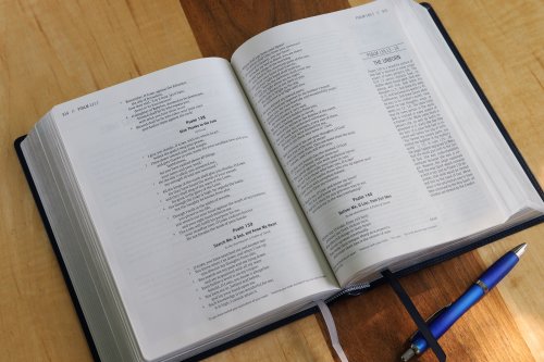 The Jesus Bible, ESV Study Bible, Leathersoft, Black