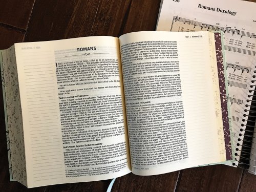 NIV, Artisan Collection Bible, Cloth over Board, Teal Floral, Designed Edges under Gilding, Red Letter, Comfort Print