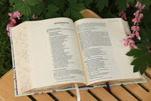 NIV, Artisan Collection Bible, Cloth over Board, Teal Floral, Designed Edges under Gilding, Red Letter, Comfort Print