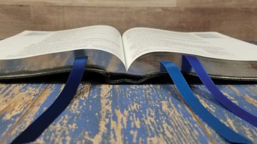 NIV, Reference Bible, Deluxe Single-Column, Premium Goatskin Leather, Black, Premier Collection, Black Letter, Art Gilded Edges, Comfort Print