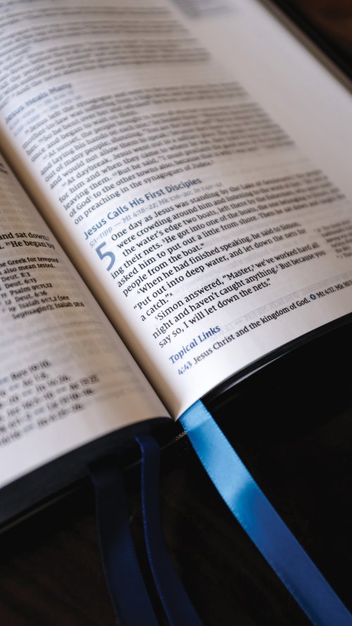 NIV, Reference Bible, Deluxe Single-Column, Premium Goatskin Leather, Black, Premier Collection, Black Letter, Art Gilded Edges, Comfort Print