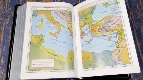 NIV, Reference Bible, Deluxe Single-Column, Premium Goatskin Leather, Black, Premier Collection, Black Letter, Art Gilded Edges, Comfort Print