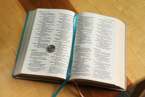 NIV, Personal Size Bible, Large Print, Leathersoft, Teal/Gold, Red Letter, Comfort Print