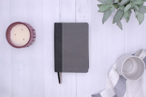 NIV, Giant Print Compact Bible, Leathersoft, Black, Red Letter, Comfort Print