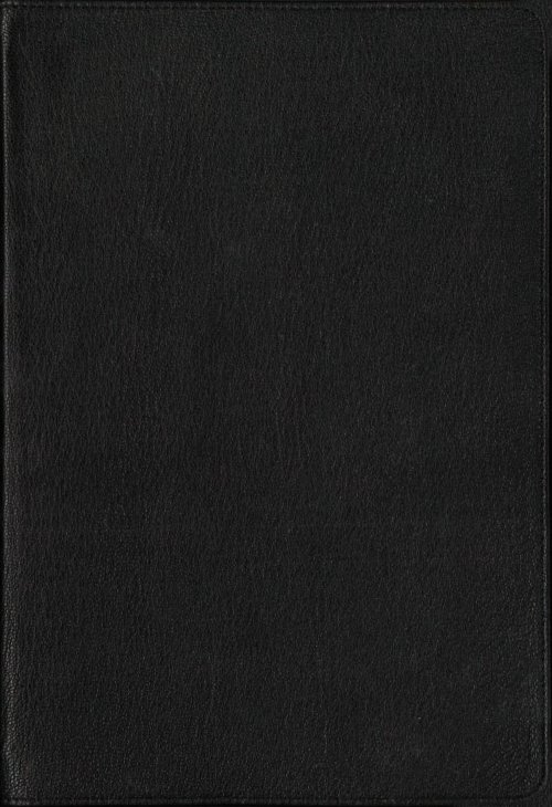 NRSV, Single-Column Reference Bible, Premium Goatskin Leather, Black, Premier Collection, Art Gilded Edges, Comfort Print