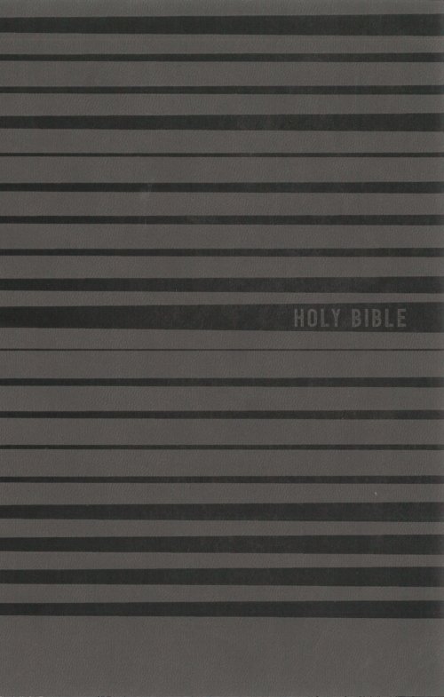 NIV, Holy Bible for Boys, Soft Touch Edition, Leathersoft, Gray, Comfort Print