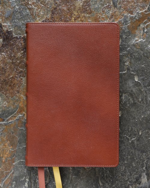 NIV, Personal Size Bible, Large Print, Genuine Leather, Buffalo, Brown, Red Letter, Art Gilded Edges, Comfort Print