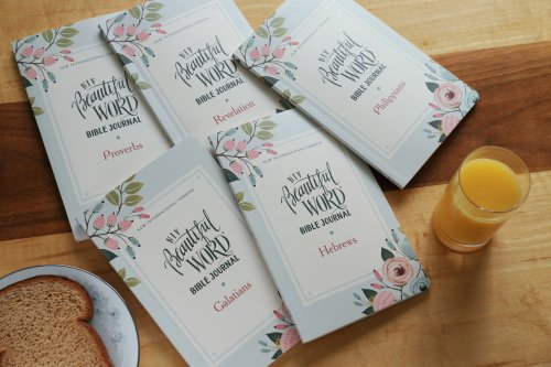 NIV Beautiful Word Bible Journal, Comfort Print: Galatians