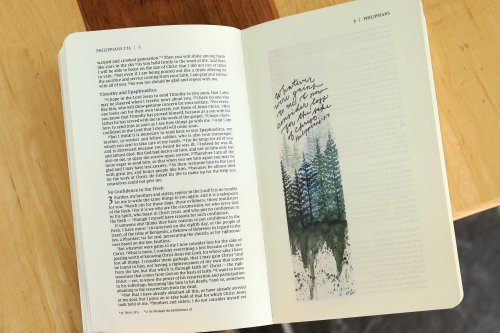 NIV Beautiful Word Bible Journal, Comfort Print: Galatians