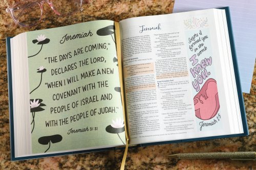 NIV Radiant Virtues Bible & Journal Gift Set: A Beautiful Word Collection (Comfort Print)-Hardcover