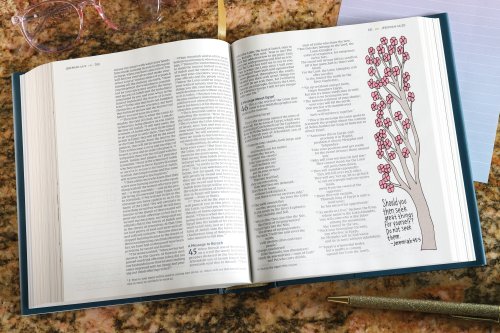 NIV Radiant Virtues Bible & Journal Gift Set: A Beautiful Word Collection (Comfort Print)-Hardcover