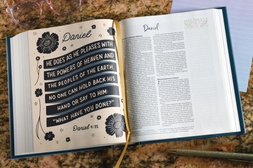 NIV Radiant Virtues Bible & Journal Gift Set: A Beautiful Word Collection (Comfort Print)-Hardcover