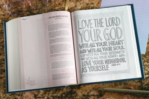 NIV Radiant Virtues Bible & Journal Gift Set: A Beautiful Word Collection (Comfort Print)-Hardcover