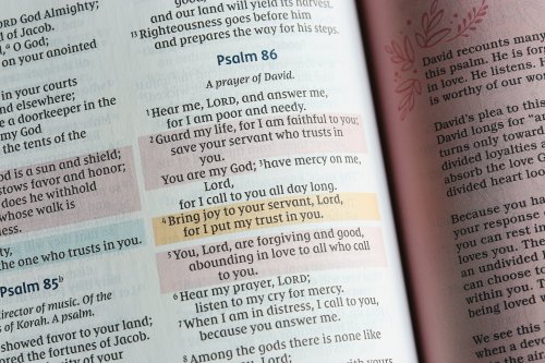 NIV Radiant Virtues Bible & Journal Gift Set: A Beautiful Word Collection (Comfort Print)-Hardcover