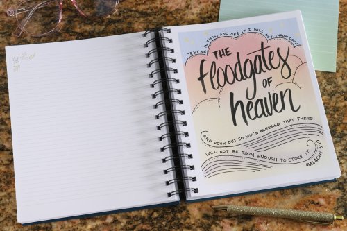 NIV Radiant Virtues Bible & Journal Gift Set: A Beautiful Word Collection (Comfort Print)-Hardcover