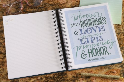 NIV Radiant Virtues Bible & Journal Gift Set: A Beautiful Word Collection (Comfort Print)-Hardcover
