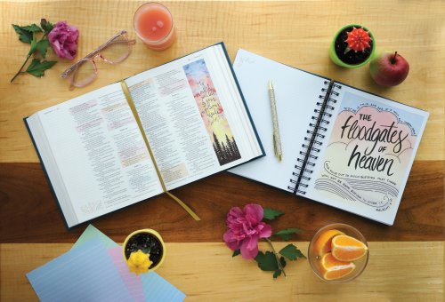 NIV Radiant Virtues Bible & Journal Gift Set: A Beautiful Word Collection (Comfort Print)-Hardcover