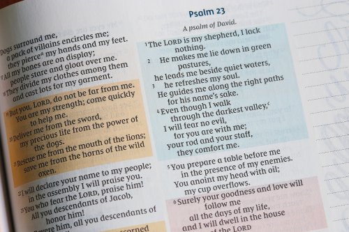 NIV Radiant Virtues Bible & Journal Gift Set: A Beautiful Word Collection (Comfort Print)-Hardcover