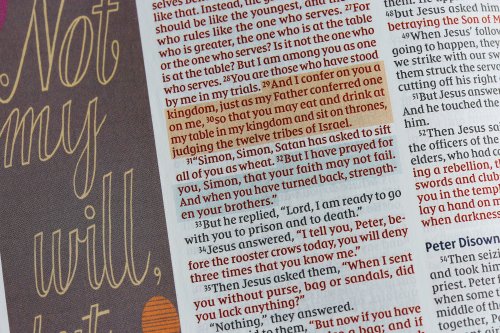 NIV Radiant Virtues Bible & Journal Gift Set: A Beautiful Word Collection (Comfort Print)-Hardcover