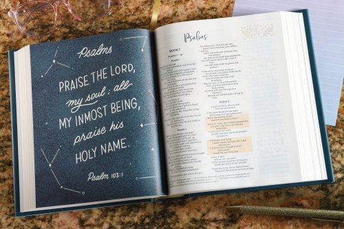 NIV Radiant Virtues Bible & Journal Gift Set: A Beautiful Word Collection (Comfort Print)-Hardcover